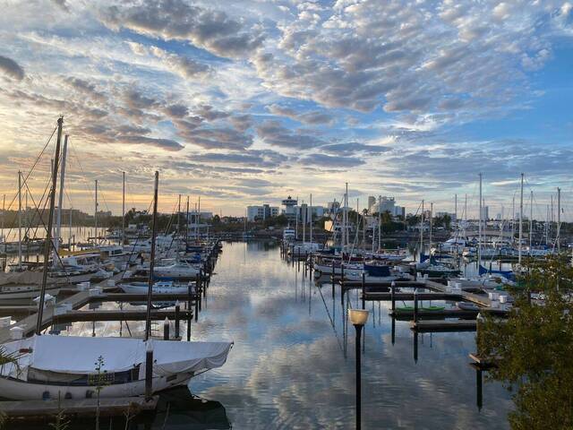 Renta en Marina Mazatlan - Mazatlán